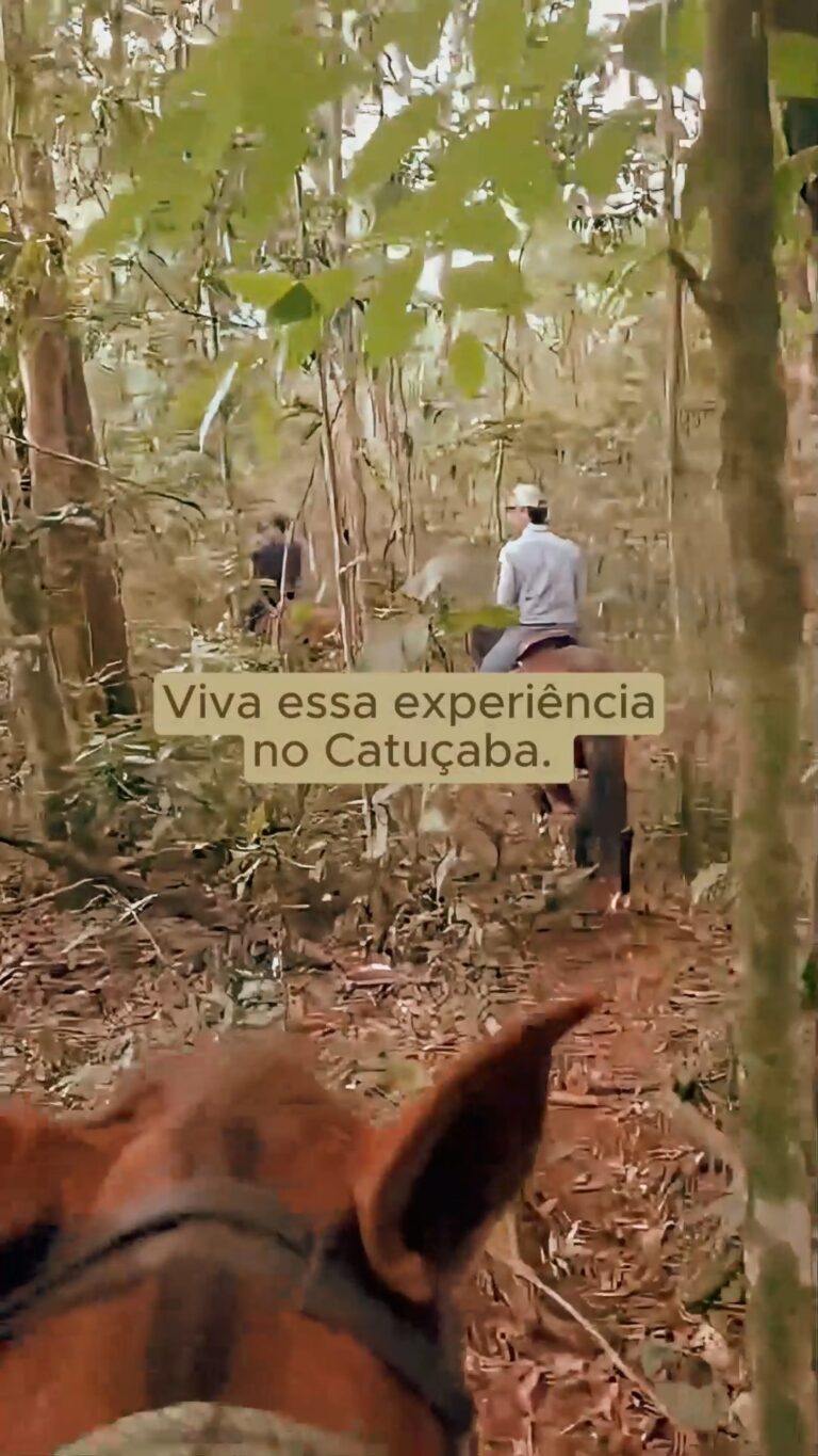 Instagram post from catucabacondominio. This post is in position 1.