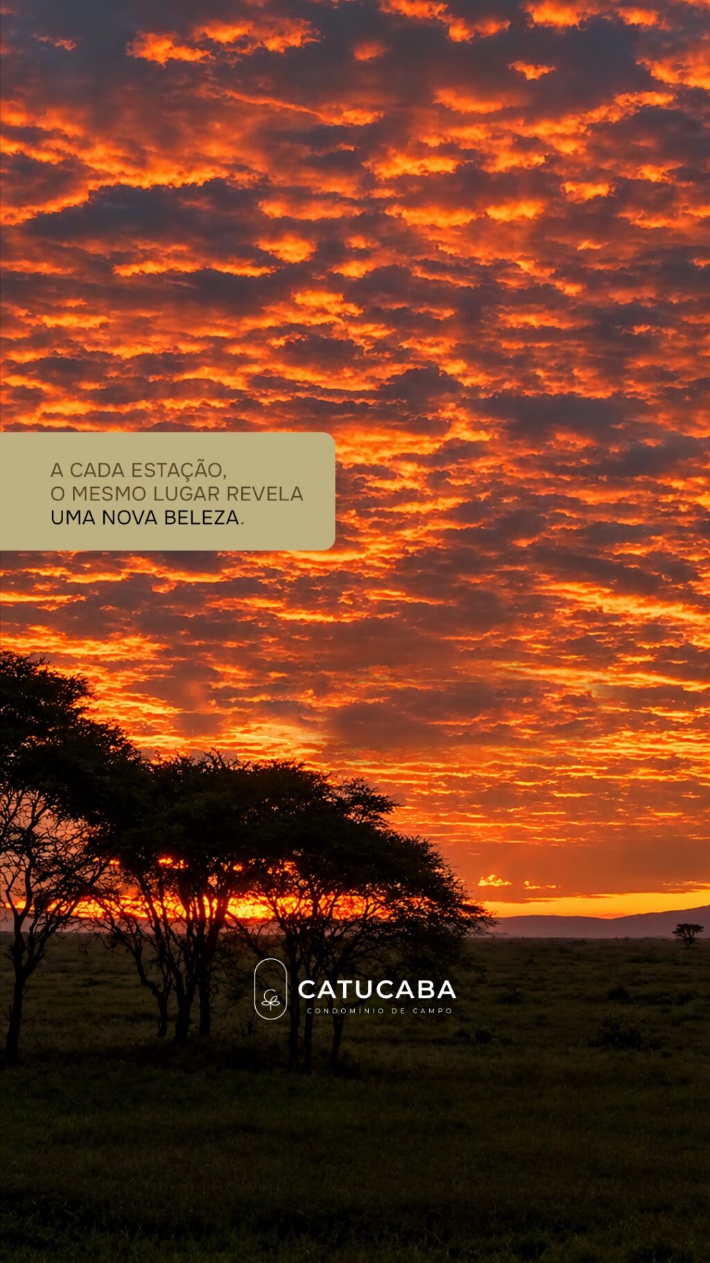 Instagram post from catucabacondominio. This post is in position 0.