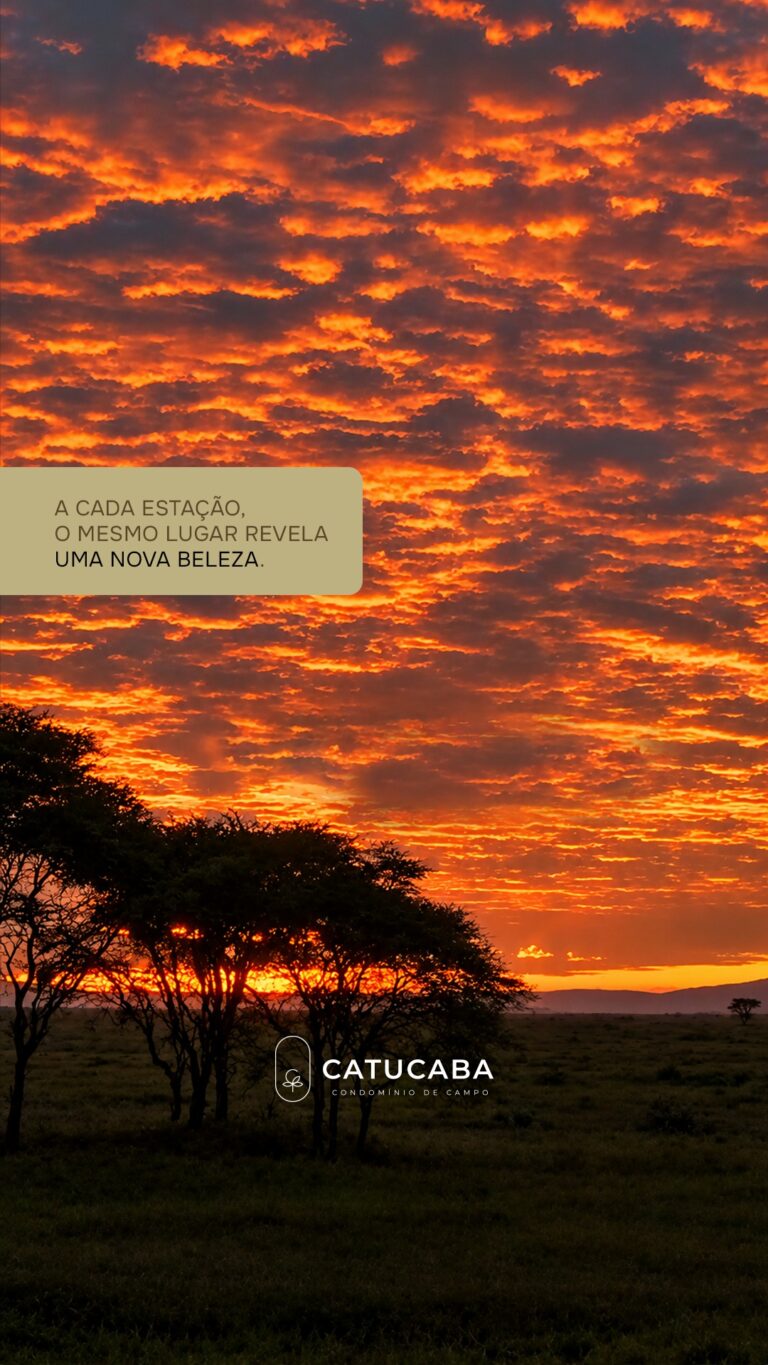 Instagram post from catucabacondominio. This post is in position 1.