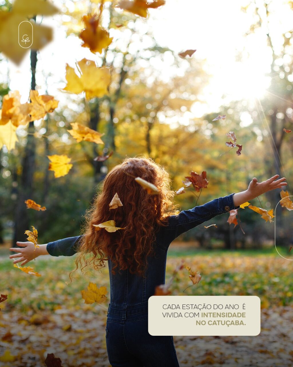 Instagram post from catucabacondominio. This post is in position 0.