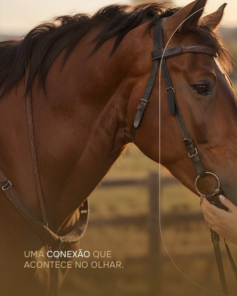 Instagram post from catucabacondominio. This post is in position 1.