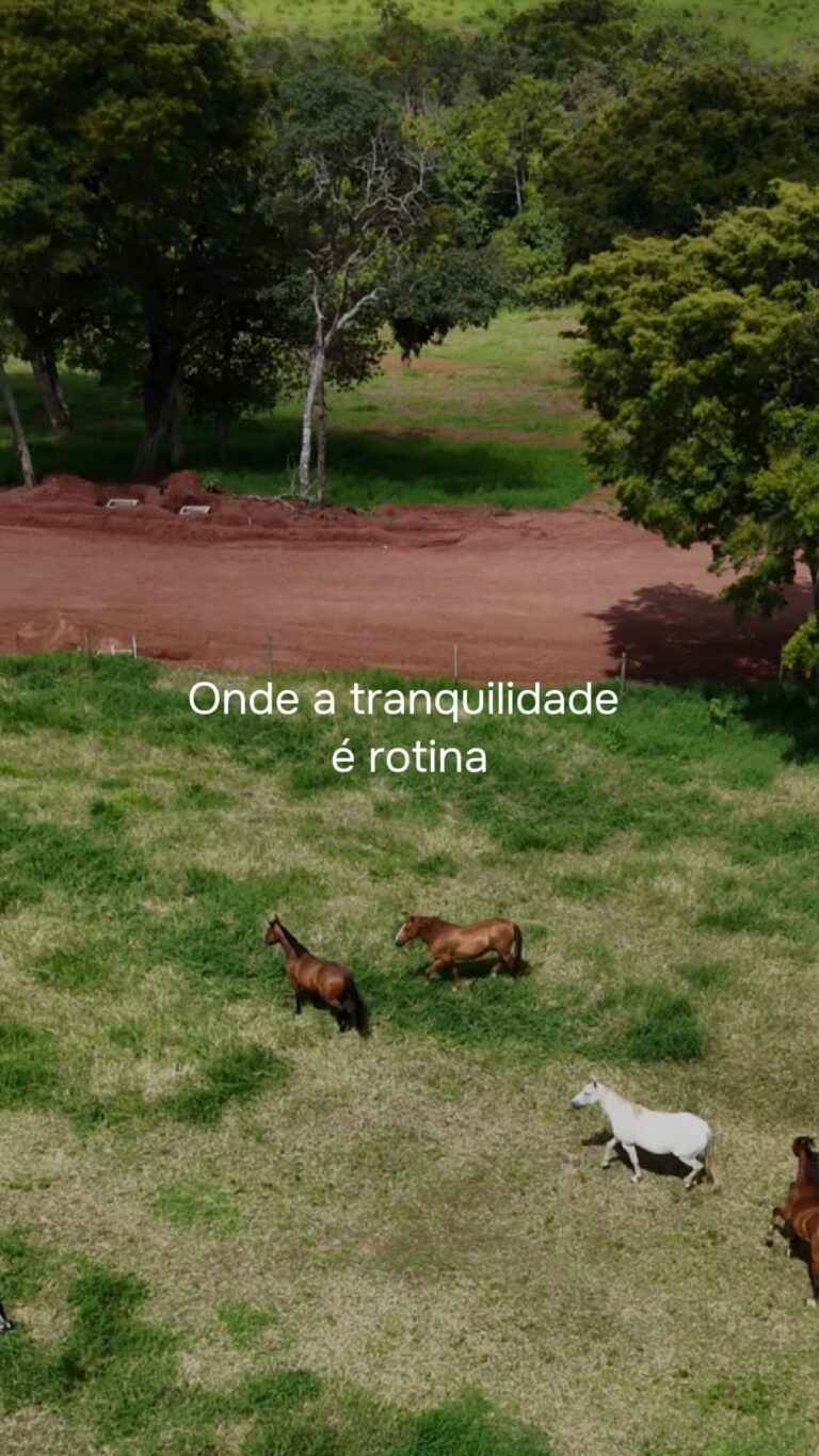 Instagram post from catucabacondominio. This post is in position 1.