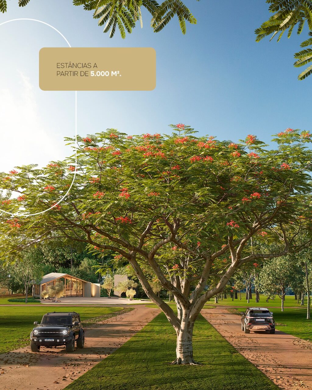 Instagram post from catucabacondominio. This post is in position 1.