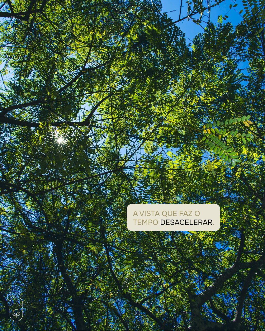 Instagram post from catucabacondominio. This post is in position 0.