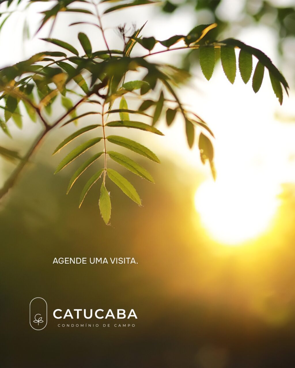 Instagram post from catucabacondominio. This post is in position 4.