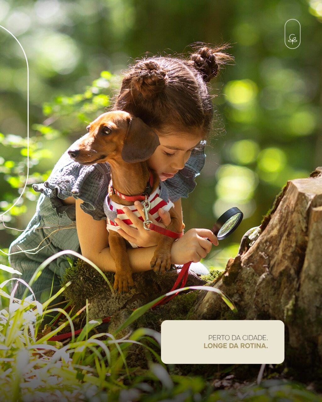 Instagram post from catucabacondominio. This post is in position 0.