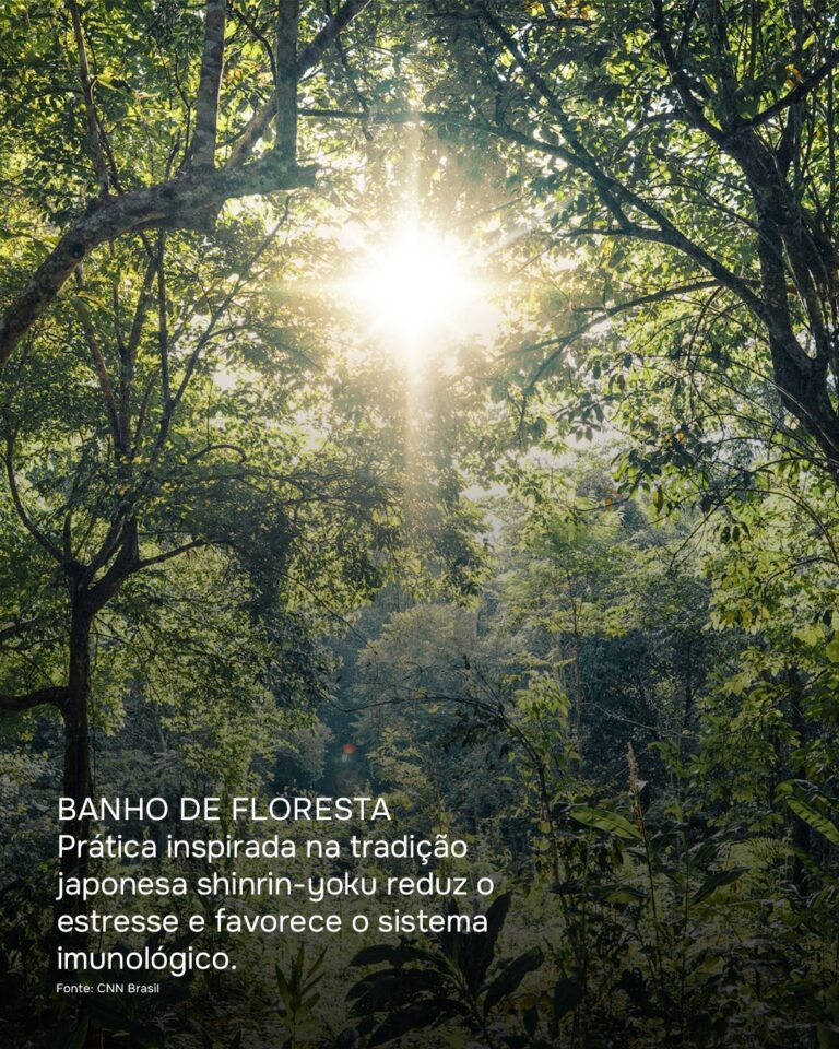 Instagram post from catucabacondominio. This post is in position 1.