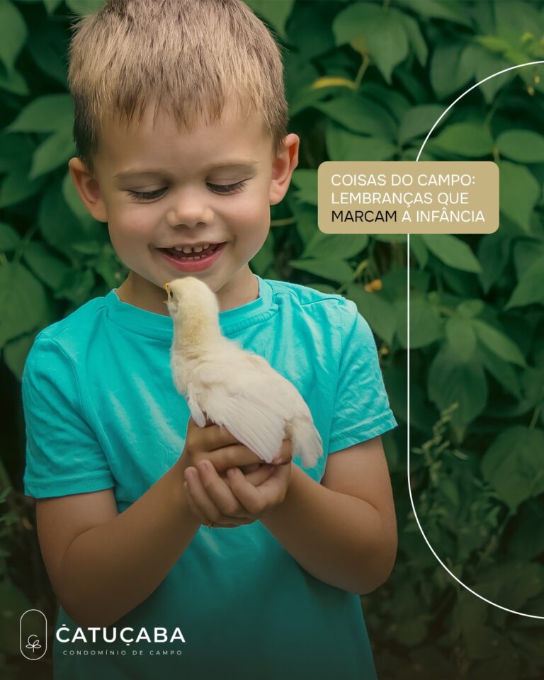 Instagram post from catucabacondominio. This post is in position 1.